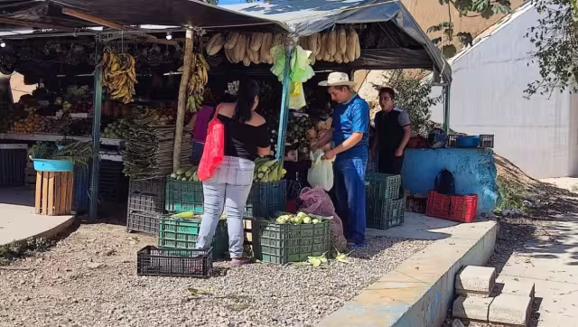 Mantienen una actividad por arriba del 50%, gracias a los empleados que acuden durante su descanso.