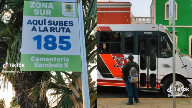 El vídeo tuvo buena respuesta en Tik Tok