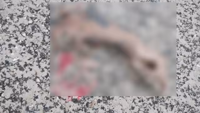 El brazo podría ser identificado por los tatuajes que llevaba