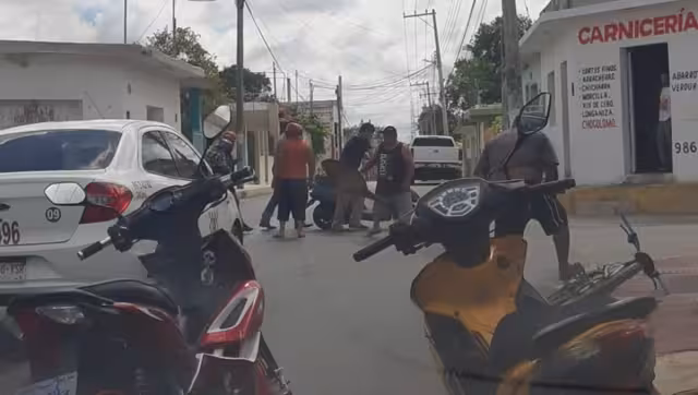 Informaron a la policía que era un autobús de color blanco el que había circulado sobre la calle mencionada y tiraba aceite en la parte trasera