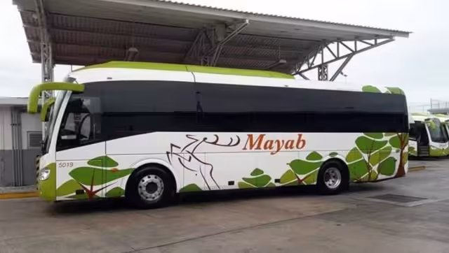 Denuncia en redes exhibe presuntas restricciones indebidas a personas con discapacidad