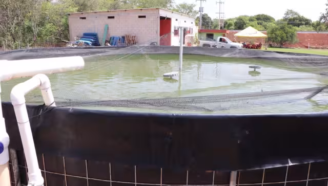 El faltante corresponde al PACMA, destinado a comunidades de la región y su retraso ha causado que estén sin entregar 400 mil peces y 100 toneladas de alimento