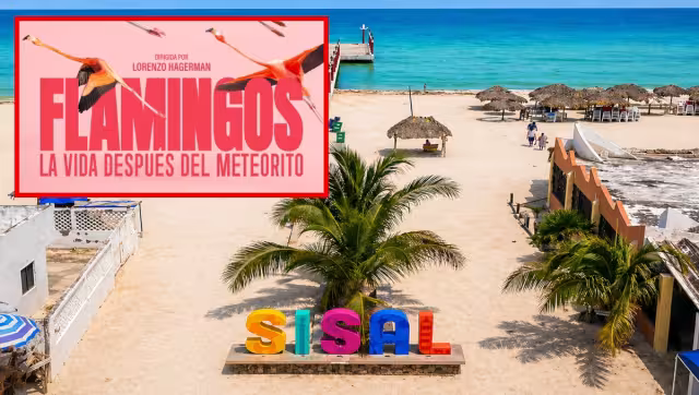 La película explora la cotidianidad de la sociedad del flamenco del caribe