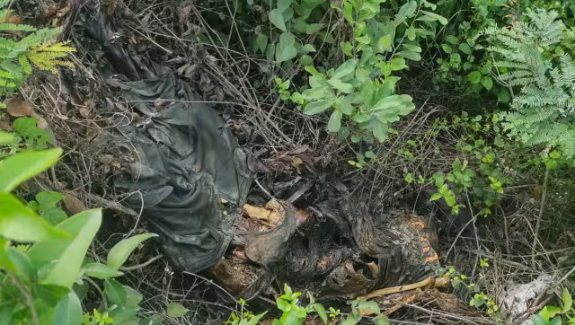 Localizan cuatro cuerpos en distintos puntos de Tulum