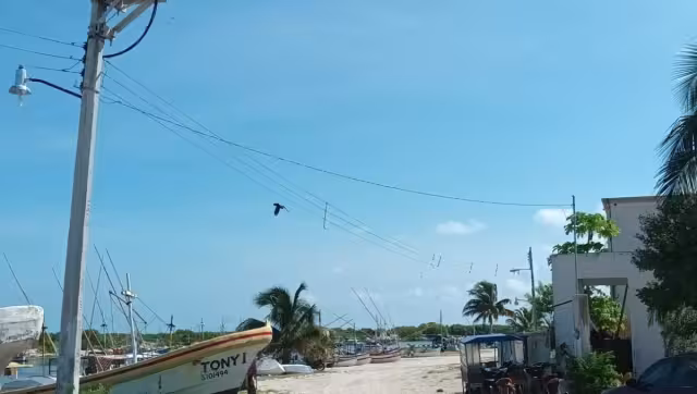 Los afectados piden que el sitio sea atendido por los alcaldes de ambos municipios