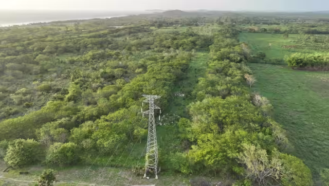 Empresas alemenas visitaran el estado de Campeche para empezar con la construcción de la planta