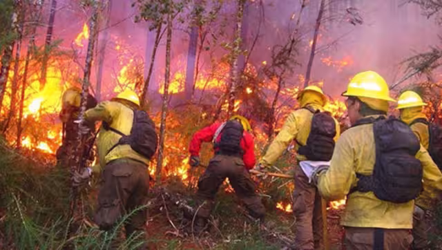 El Centro Nacional de Prevención de Desastres señala que el 90 por ciento de los incendios forestales en México son causados por actividades humanas