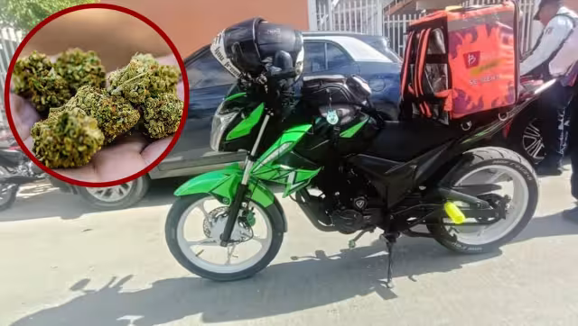 Transportaba dos bolsas con hierba seca, presunta marihuana