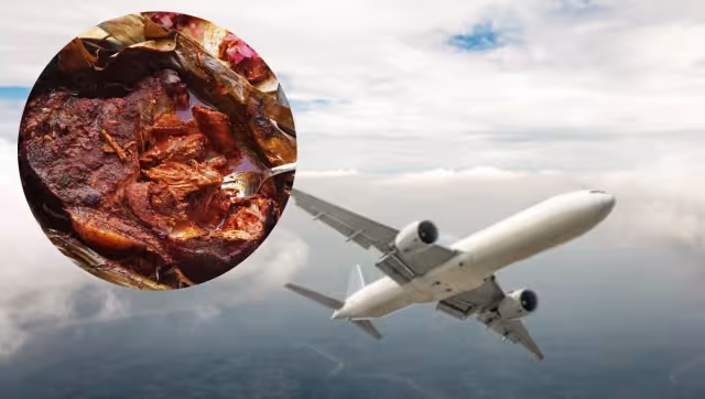 Las diversas empresas aéreas tienen establecidos permisos y prohibiciones para poder abordar el avión