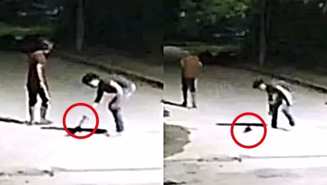 El dueño del gatito denunció el maltrato animal que sufrió