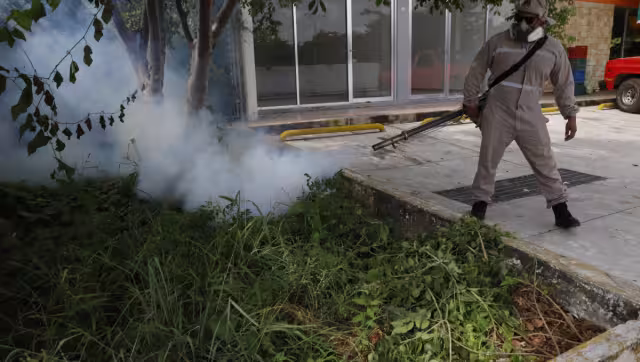 El informe reveló que, hasta el momento, se han notificado 40 casos de dengue común o “no grave”