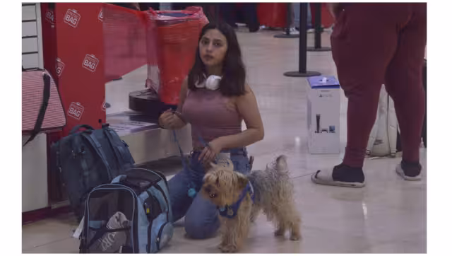 Bilbo se roba miradas en el Aeropuerto Internacional de Cancún