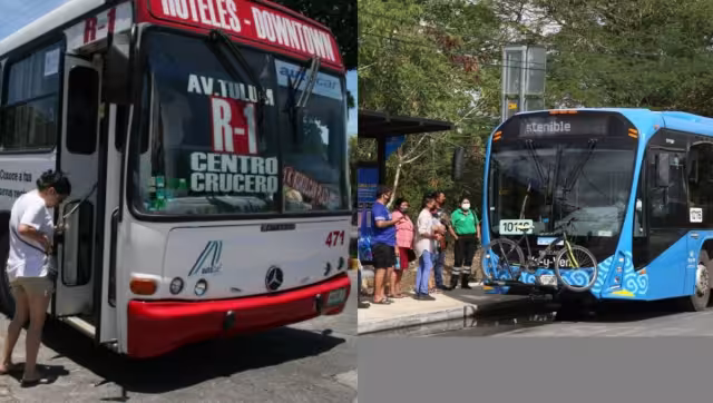 La comparación se realizó a través de TikTok