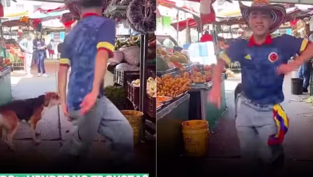 Joven se hace viral al ser mordido cuando bailaba un tema de Shakira: VIDEO