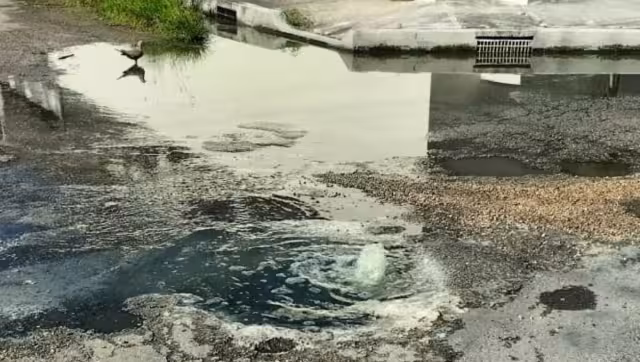 Al ser vertido en el drenaje forma masas con bacterias que obstruyen el paso del agua