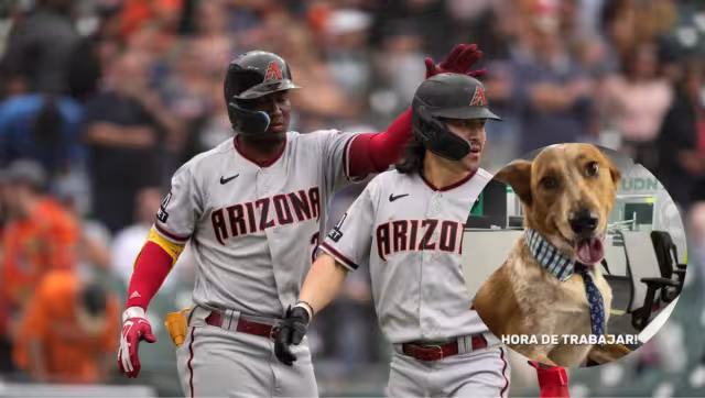 El perrito ya tiene dos aciertos de cuatro predicciones