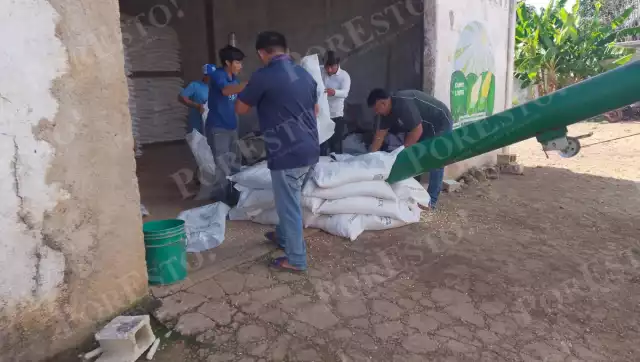 Productores denuncian irregularidades en el manejo de granos del programa Alimentación para el Bienestar.