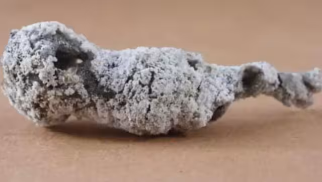 El mineral fue examinado por un grupo de investigadores. Foto: Especial