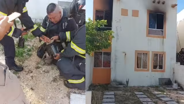 Rescatan a perrito en llamas