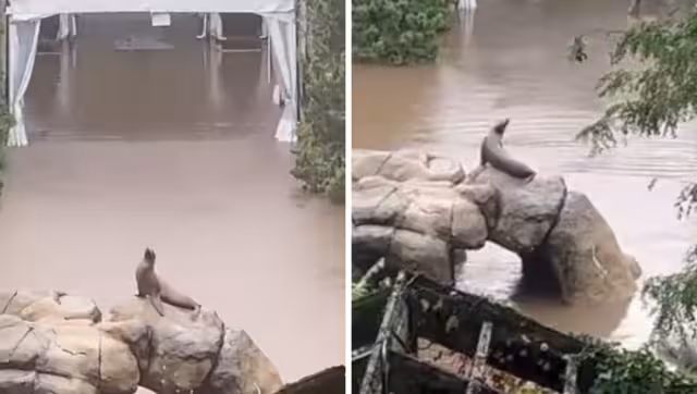Las fuertes lluvias en Nueva York han causado estragos en la ciudad