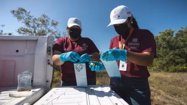 Hasta el momento no se registran fallecimientos de animales