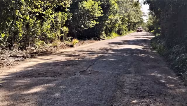 Son poco más de 3.5 kilómetros de camino de San Francisco a esta comunidad, el cual tiene importante deterioro, que va en aumento.