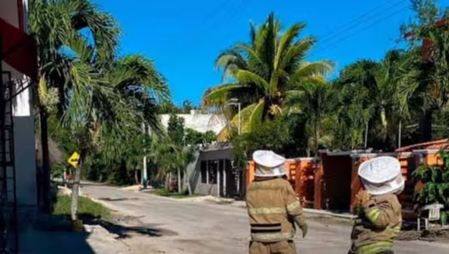 Se ha reportado la muerte de al menos 15 animales