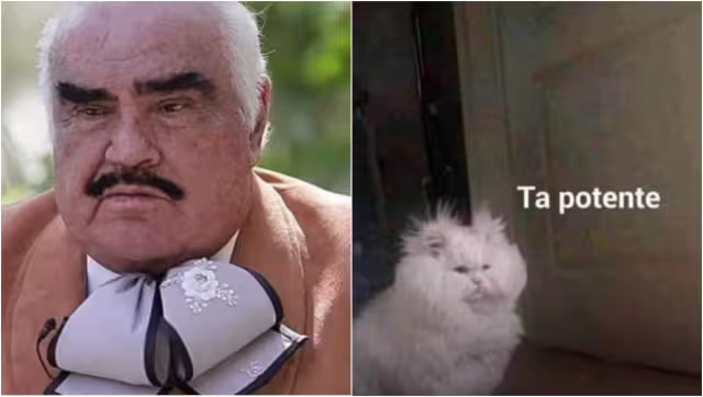 En los últimos años, los memes han cobrado relevancia como una forma de expresar las emociones con un sentido del humor