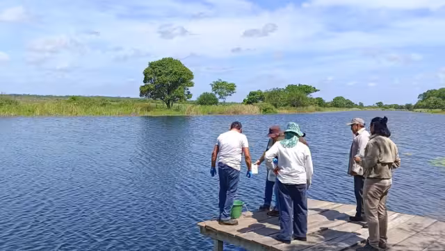 Analizan calidad del agua en los principales ríos de Campeche para detectar contaminación