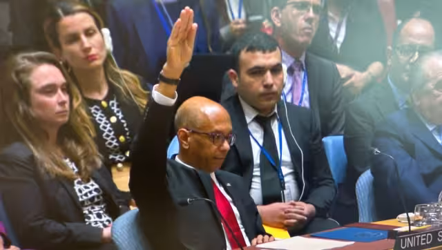 El representante de Estados Unidos extendió el veto a Palestina
