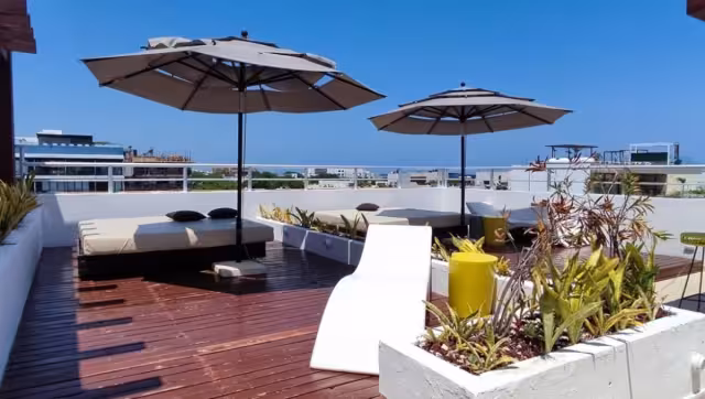 Los restauranteros esperan que el sargazo no afecte a familias que pasan el 10 de mayo en la playa