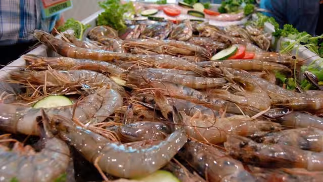 Buscarán opciones para que no se siga depredando el camarón