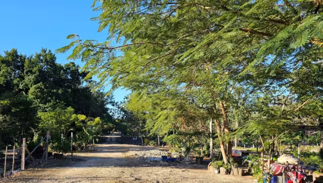 Reclamaron no recibir la misma atención que los habitantes desalojados de las colonias Alfa y Omega y San Judas Tadeo