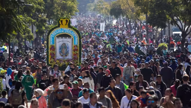 El Gobierno de la CDMX estima que por las festividades del Día de la Virgen de Guadalupe lleguén aproximadamente 11 millones de peregrinos a la Basílica