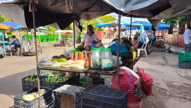 Vendedores del Mercado Municipal añadieron que ya se inició la comercialización de diferentes productos de la temporada