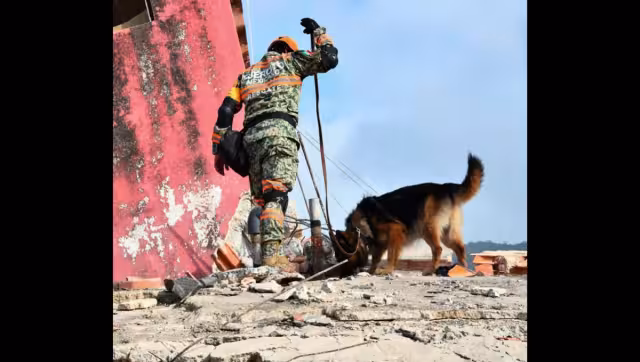 Los rescatistas del Ejército mexicano iniciaron las maniobras utilizando la técnica de llamado y escucha para detectar señales de vida