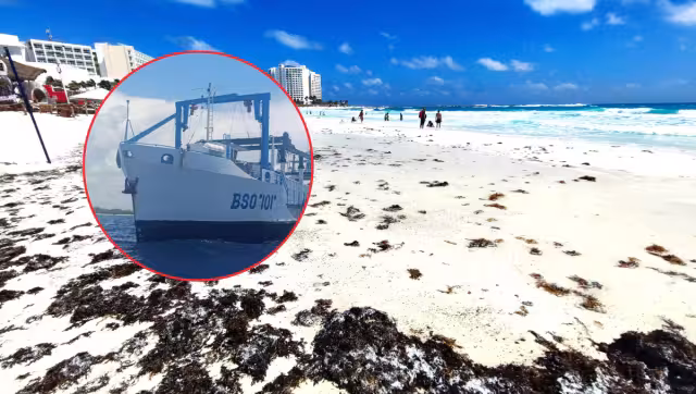 Marina despliega buque Natans para frenar sargazo en Quintana Roo