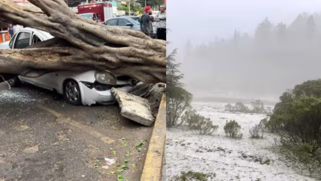 Fuertes vientos dejan afectaciones en CDMX y Edomex