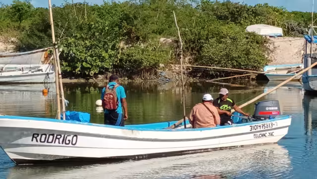 Los hombres del mar dedicados a capturar la escama están dando batalla para poder adquirir el producto y generar ingresos