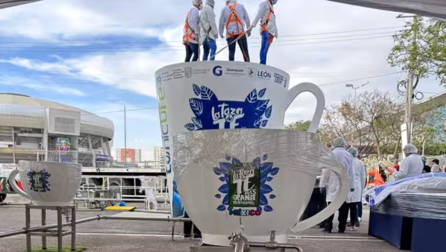 La bolsa de té alcanzó un pesos de 96 kilos