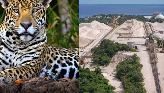 Podría ser un lugar para albergar animales endémicos