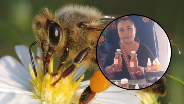 Los frascos grandes se venden a 50 pesos