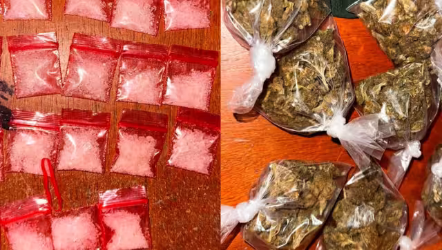Se aseguraron drogas como metanfetaminas y marihuana en los dos operativos en Pomuch