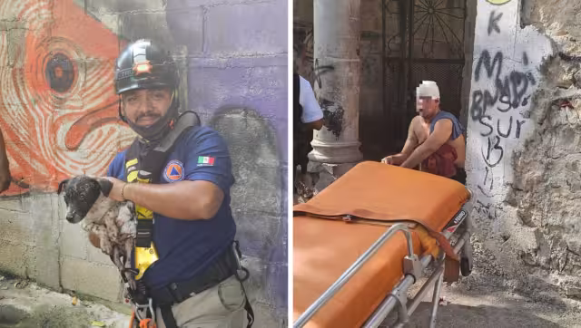 El hombre cayó luego de intentar rescatar a su perrito