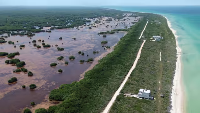 El proyecto ha sido frenado a tiempo