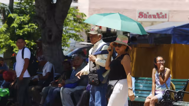 Habrá viento de componente sur con rachas de viento de 40 a 60 km/h