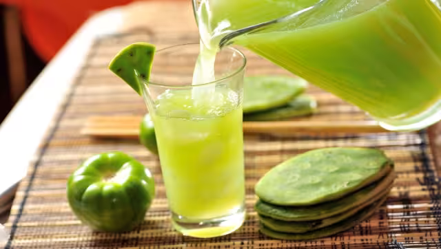 El nopal es uno de los recursos vegetales más importantes para los habitantes de las zonas áridas y semiáridas de México. Foto: Pinterest