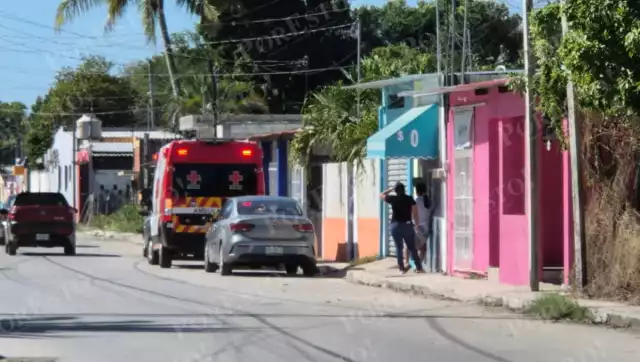 Un hombre fue atacado por un perro dentro de un domicilio en Champotón.