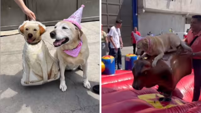 Frida celebró 10 años con una gran fiesta