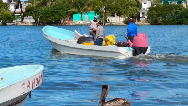 El sector pesquero ribereño de Campeche enfrenta alta incertidumbre rumbo a 2026.